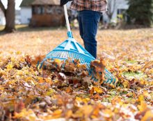 Fall-Maintenance-Tips
