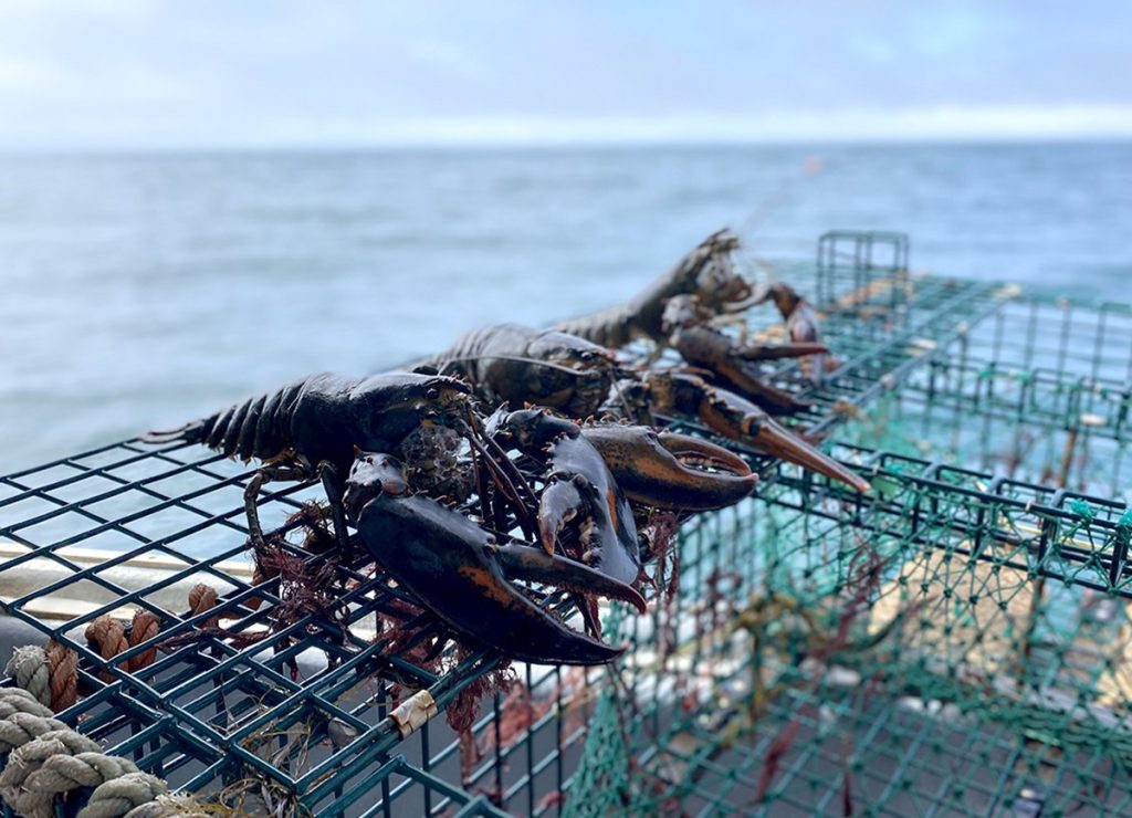 lobster boat tour yarmouth big tusket island